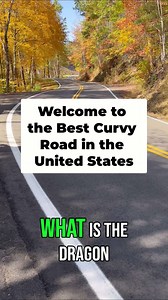 💬 👉 🐉 Best Curvy Road in the US | TheSmokies.com