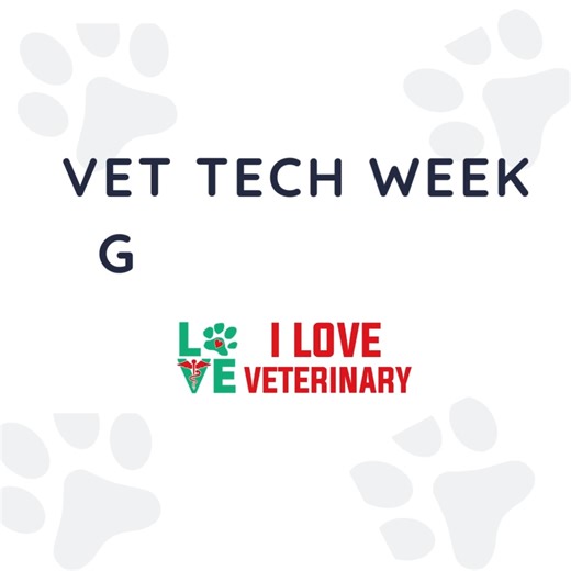 The Countdown is On! ⏳Vet Tech Week starts October 12th! Order your gifts and ensure they arrive in time to celebrate your amazing team. Find more at https://ilove.vet/collections/vet-tech-week #ILoveVeterinary #VetTechStars #vettechstars #vettechweek #vettechgifts | I Love Veterinary Medicine