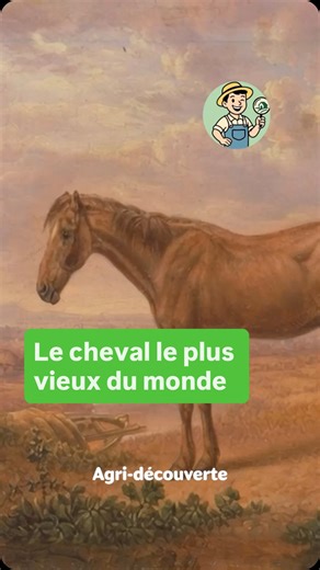 Old Billy : le cheval le plus vieux du monde. Selon les archives britanniques, ce cheval aurait vécu jusqu’à 62 ans, un record exceptionnel pour une espèce dont la longévité moyenne tourne autour de 25 à 30 ans. Né en 1760 dans le Lancashire, Old Billy était un cheval de trait. Il a travaillé toute sa vie pour tirer des barges le long des canaux anglais. Son âge a été authentifié grâce à des documents et portraits conservés par les haras royaux britanniques. Pour comparaison : • très peu de chev