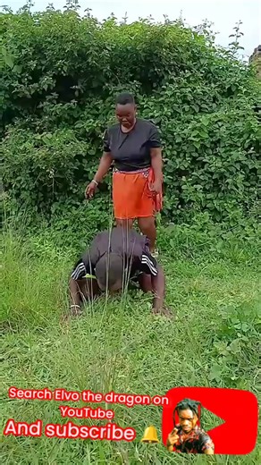 Elvo The dragon (@elvo.the.dragon)’s videos with original sound - Elvo The dragon