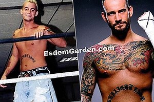 Jericho False Rose, Resurrection Moss, Dinosaur Plant, Stone Flower, Redescubierto Selaginella, Selaginella Lepidophylla 🌿 Todo Sobre Jardinería Y Diseño De Jardines - 2025