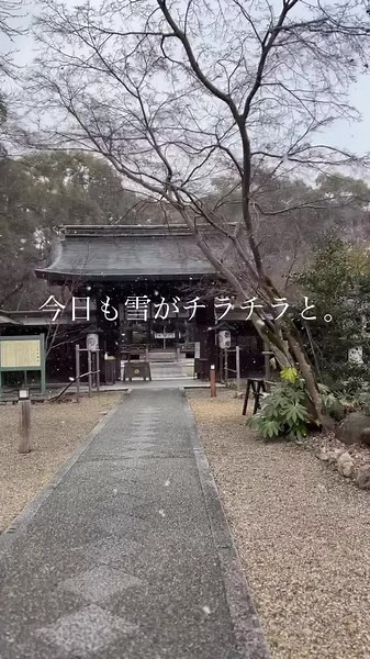 今日も雪がチラチラと。 温かいコーヒーをご用意してお待ちしております。 Coffee Base NASHINOKI 京都 御所東 梨木神社境内 10:00〜17:00 #梨木神社 #京都カフェ #神社カフェ #京都旅行 #パワースポット #coffeebaseNASHINOKI