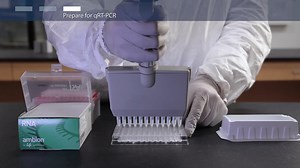 How to analyze gene expression from cultured cells - Scientific Videos | Thermo Fisher Scientific US