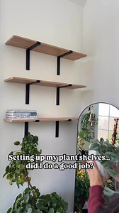 Calling all shelve styling experts— how did I do? I’ve envisioned beautiful planty floating shelves in this room for a while, but until the plants get long and trail down, there’s a lot of open space. What do you recommend I do to make these shelves look better? Give me your suggestions and tips!....#stylingshelves #plantshelfie #indoorhouseplants #biophilicdesign #trailingplants | Reenasplants