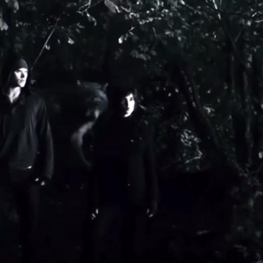 loneliestwolf sur TikTok