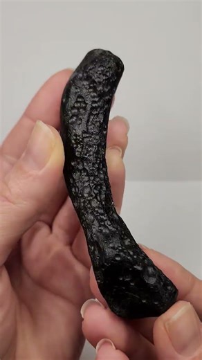 Indochinite tektite unique "rib bone" shape
