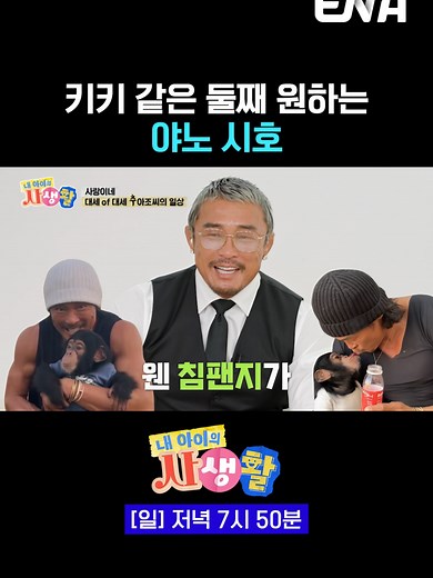 추성훈의 애완 침팬지와 사랑스러운 순간들