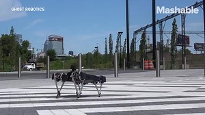 This unassuming robot could sneak into your home