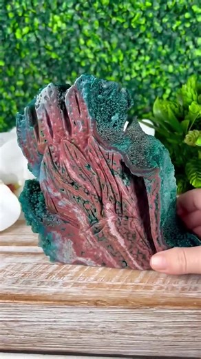 Ocean Jasper Turtle Octopus Carving, Mineral Decor - Etsy