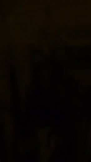 27 reactions | YALL NEXT MODEL IS IN THE WORKS  BOOK ME FOR ANY MODELING INQUIRIES  PHOTOS TAKEN BY MALON 﫶 HAIR SLAYED & LAYED Iris Parker SHIRT PUMA WORKOUT TIGHTS Walmart SHOES Nike #leekah #bigboss #explore #fyp #followme #fy #model #hairmodel #nike #puma #walmart #bookme #bookmeforyournextshoot | Leekah Leekah | Facebook