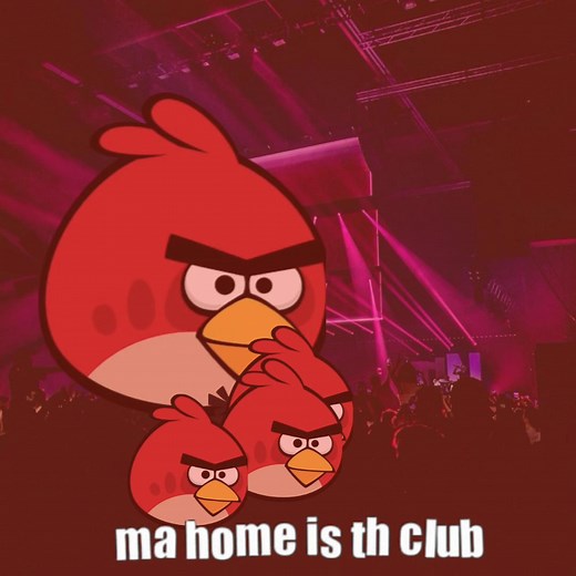 Angry Birds: Ultimate Game and Party Experience
