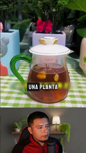 a very powerful homemade rooting hormone