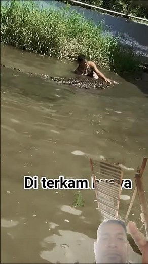 Terrifying Moment a Crocodile Attacks a Man