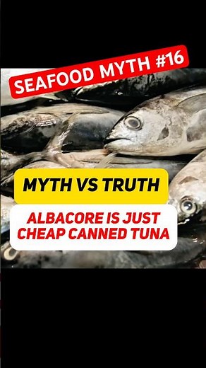 Why Albacore Tuna Is Way Better Than You Think! Not Just Cheap Canned Tuna? Seafood Myth #16