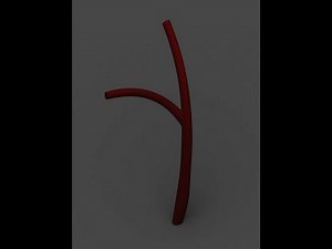 Biomedical Engineering Branched Vein Tutorial