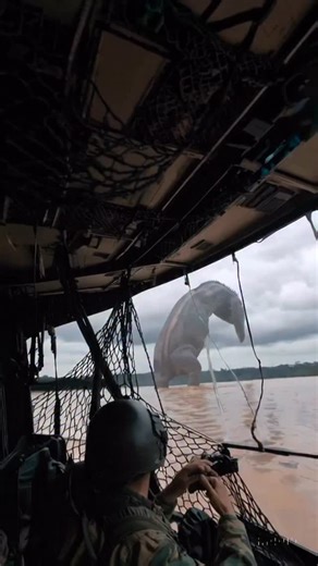 😨 GIANT CREATURE EMERGES FROM THE AMAZON RIVER — Military Has No Idea What It Is! 🌊🚨 ⸻ 📝 Description: Deep in the Amazon rainforest, something massive is moving beneath the surface. Military drones caught the first glimpse — a shadow longer than a passenger jet, gliding silently through the river. Moments later, the water exploded upward, revealing what witnesses called a living mountain. Its skin looked like stone, its eyes glowed faintly in the dark, and its roar silenced the jungle. The m