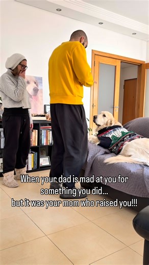 Drogo Manuel | 🇵🇹 É o que é 😏💅🤣 Segue-me para não perderes as minhas aventuras @i_am_drogo_official 🤏🏻 🇬🇧 It is what it is 😏💅🤣 Follow me so you don’t... | Instagram