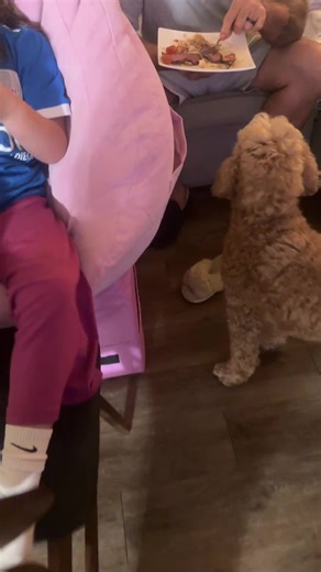 Dominique Cefalu (@dominique.cefalu)’s videos with original sound - novazsx