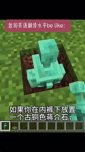 我的英语翻译水平
