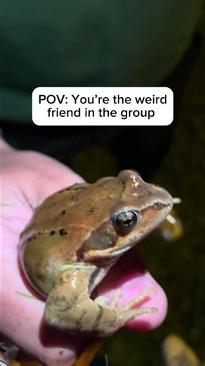 POV: You’re the weird friend in the group 🐸