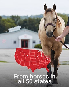 122K views · 429 reactions | Thank you for helping us create one of the world’s largest equine microbiome databases. ❤️ Did you send in your horse’s sample for the Purina® Microbiome Research Project? Share their headshot in the comments!  | Purina Horse Feed | Facebook