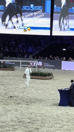 Friese Hengstenkeuring: Een Dag vol Plezier