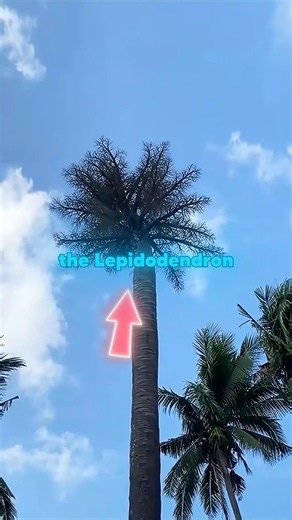 If You EVER See This Tree, RUN 🤯🌴