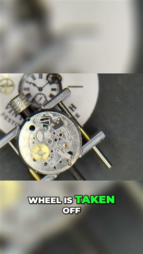 Fixing Spring Mistakes Easy Reassembly Tips