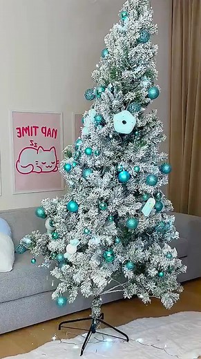 Hilarious Cat Moments That Will Make You Laugh