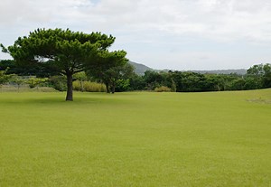 Giornata mondiale del suolo, Legambiente: "Ogni minuto in Italia perdiamo 100 mq di terreno"