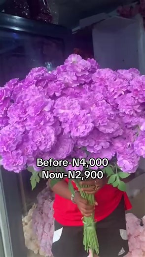 Flower Genesis (@flowergenesis_)’s videos with original sound - DISAPPEARING GUY ✌️