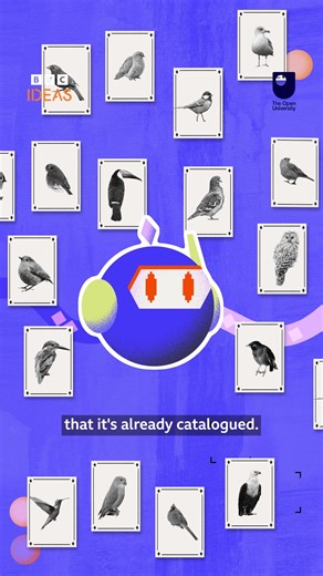 9.5K views · 27 reactions | Wondering how to get started with AI chatbots? Here’s a handy guide from the BBC’s tech editor Zoe Kleinman. Made in partnership with The Open University. To watch the other animations in this series, visit the BBC Ideas website. #BBCIdeas #AI #AITips #Chatbots #Technology | BBC | Facebook