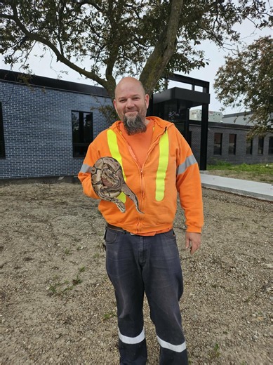 Where did this python in Windsor's sewer system come from — and what comes next?