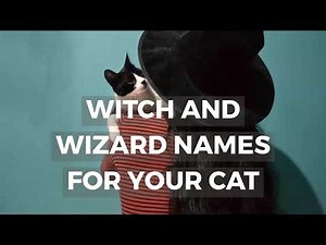 Wizard Witch Cat Names