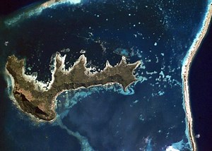 Lost Before They Were Found: Mysterious Extinctions in the South Pacific