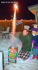 Epic Backyard Fireworks Fail #funny #ai #sora #fireworks