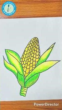 corn drawing easy//easy drawing.#shorts #shortsfeed #art