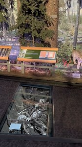 5K views · 394 reactions | Add this family favorite activity at Buffalo Bill Center of the West to your list next time you visit Cody Yellowstone 怜 Check out what to see & do around Cody Yellowstone – bit.ly/2NZ2AXg | Cody Yellowstone | Facebook