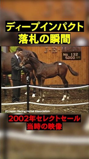 [The Miracle of the Select Sale] The Moment Deep Impact Was Auctioned Off #horseracing #horse #se...