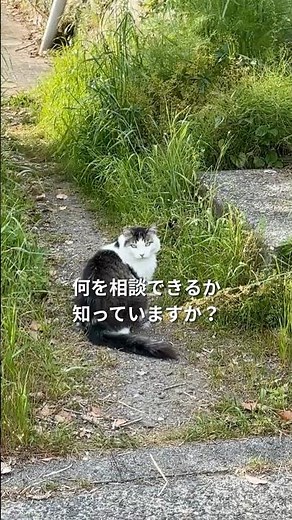 相談支援って何を相談できるのか知っていますか？
