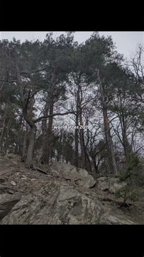 Nature losing its colour❤ #nature #tree #naturelovers #shorts