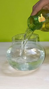 Fun with ScienEasy Science experiments to do at home/magic tricks #viralreelsシ #schoolassignment #shortsreels #scienceexperiments | Kansal Creation