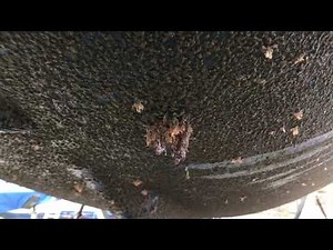 NASA EML-2 log at the the end of the season