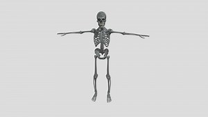 Skeleton - 3D model by dragoivanov189