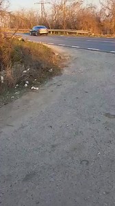 100K views · 746 reactions | Wie sollen wir da wegschauen??? Nein das können wir nicht ! Schaut euch diese kleine Hundefamilie an 梁 Natürlich haben wir Hilfe zugesagt und werden euch auf dem laufenden halten... | Homeless Dogs Romania e.V | Facebook