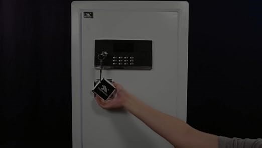 TIGERKING Digital Security Safe Box, Double Safety Key White