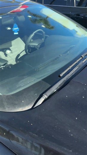 What does FORD stand for?