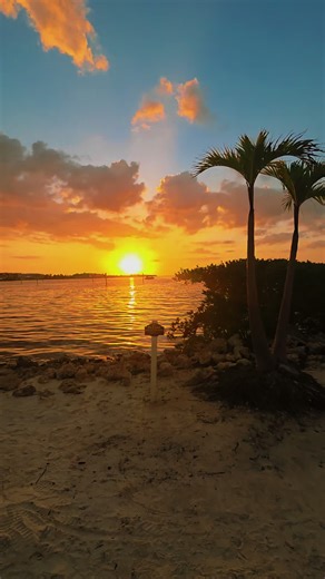 Sunset Vibes at Sunset Beach in Punta Gorda, Florida☀️ #sunsetvibes #swfl #sunset #beautifuldestinations #fyp