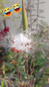 😂🤞Haldi kumkum ❤️😍 | Sonam Creations