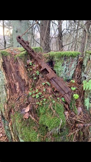 Wow😱 Not bad 😎🤙🏻 #metaldetecting #ww2rebuilder #worldwar2 #ww2 #history #treasuretrove #1944